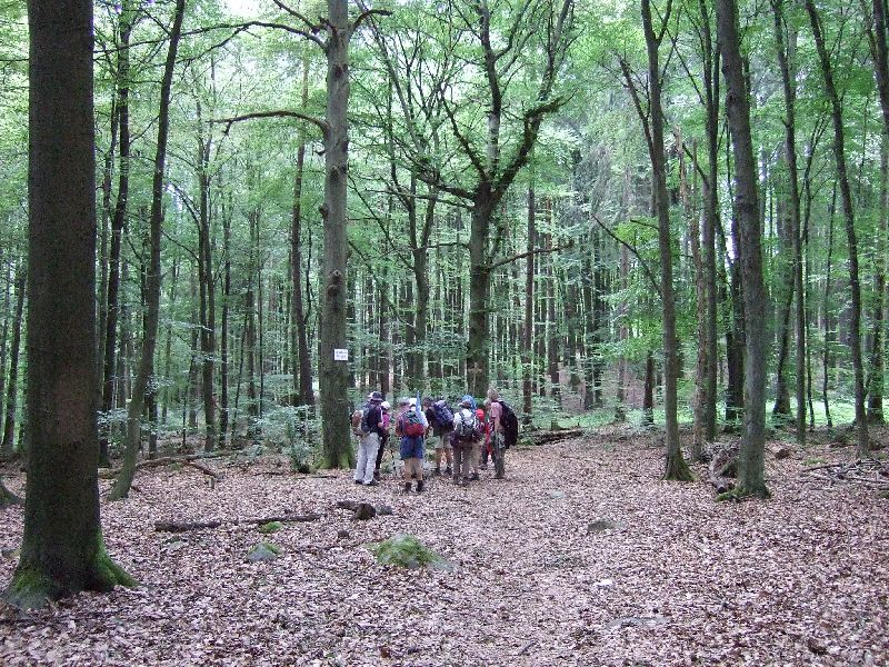 2011- 203.jpg